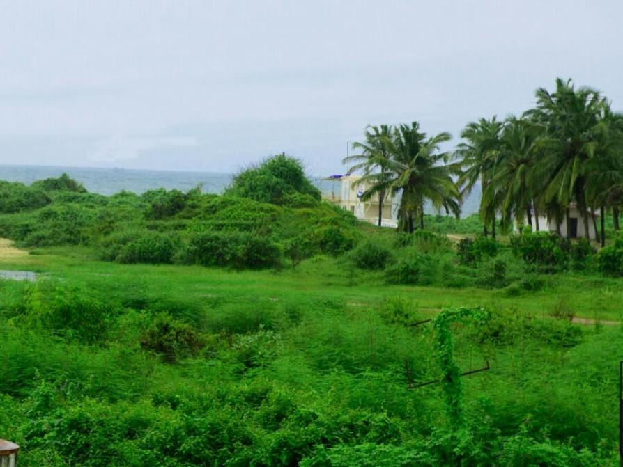 'Golden Sand Dunes' 1bhk Benaulim beach apartment view 3