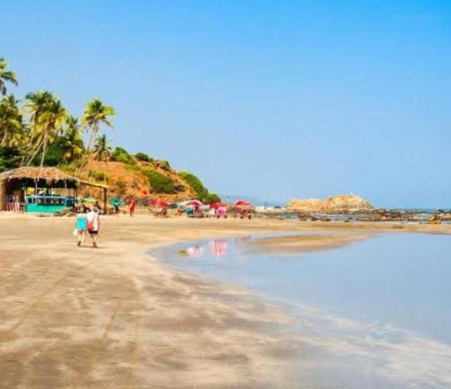 'Golden Sea Shell' 1 bhk Beach apartment view 4