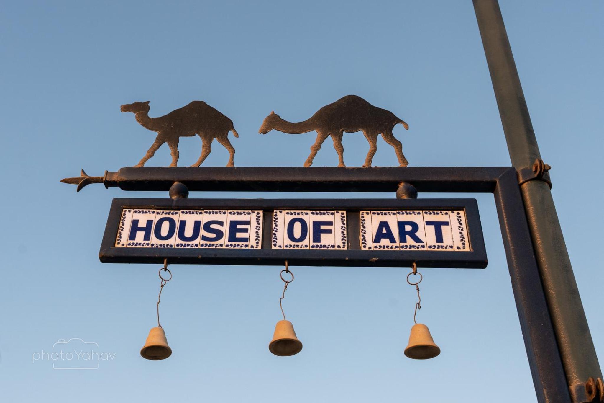 House of Art view 5