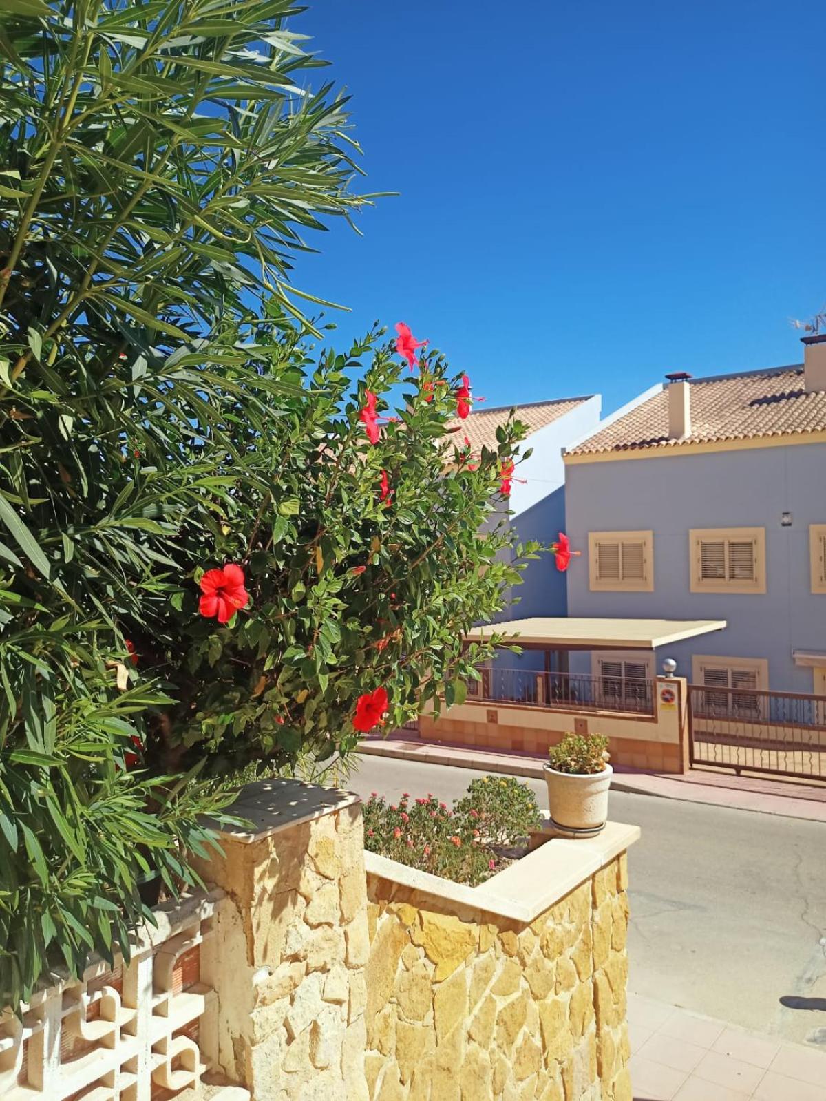 Nice Place Santa Pola