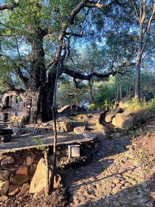 JakkalsDraai River Bush Lodge
