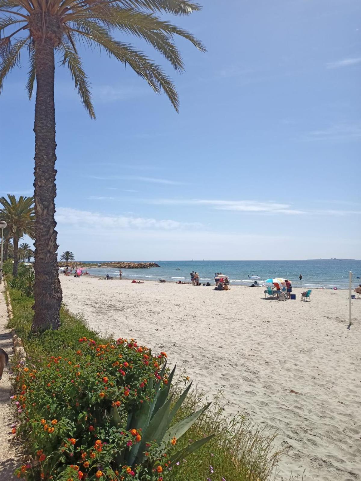 Nice Place Santa Pola