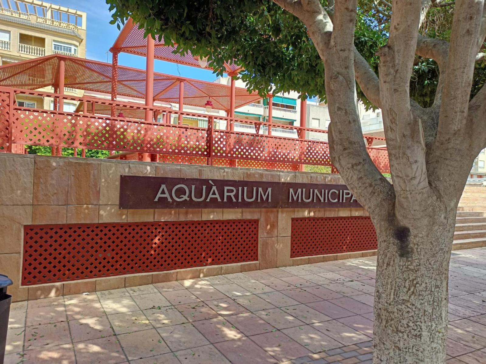 Nice Place Santa Pola