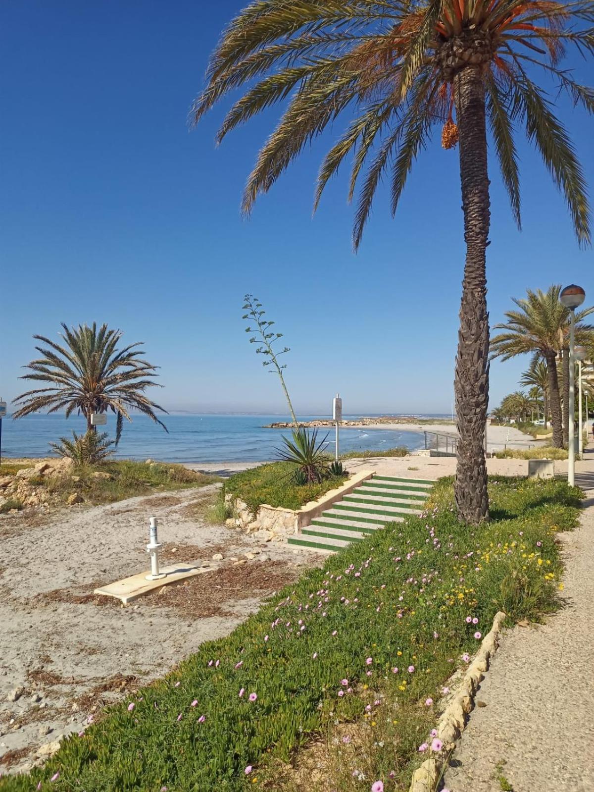 Nice Place Santa Pola