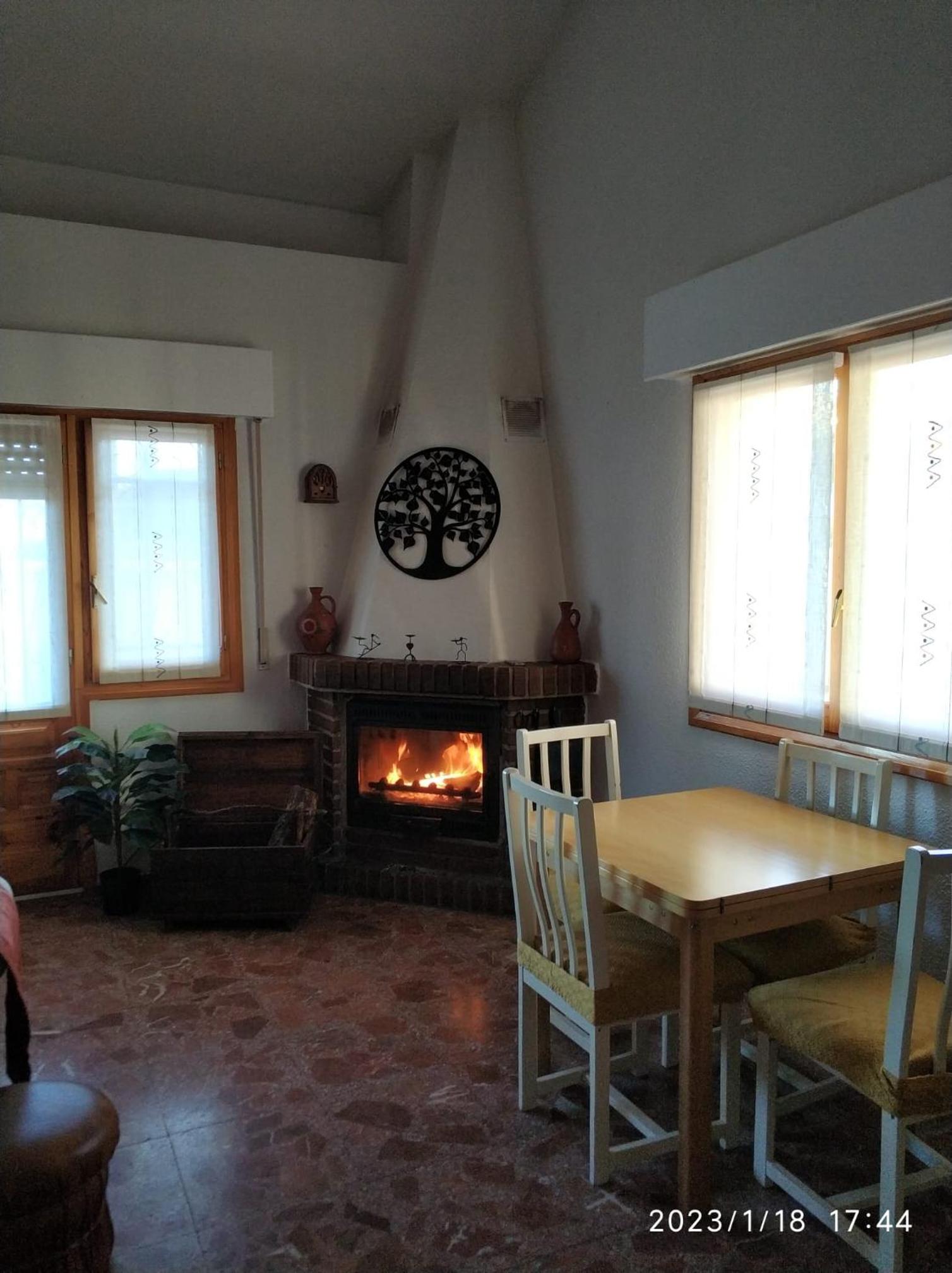 La lechuza blanca