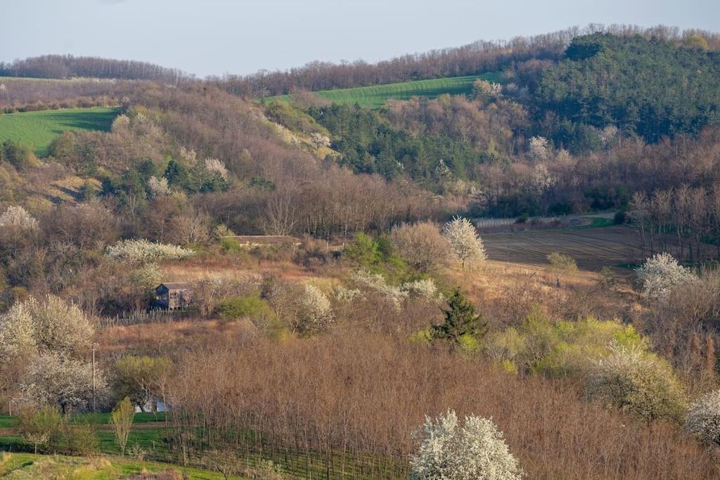 Naphegy Kuckó