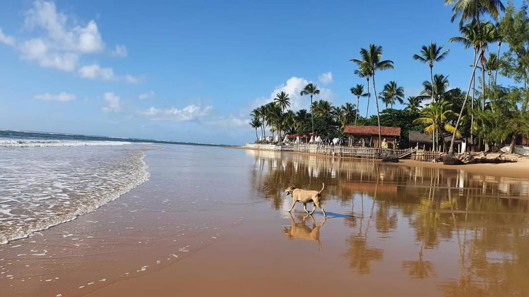 Rota da Praia