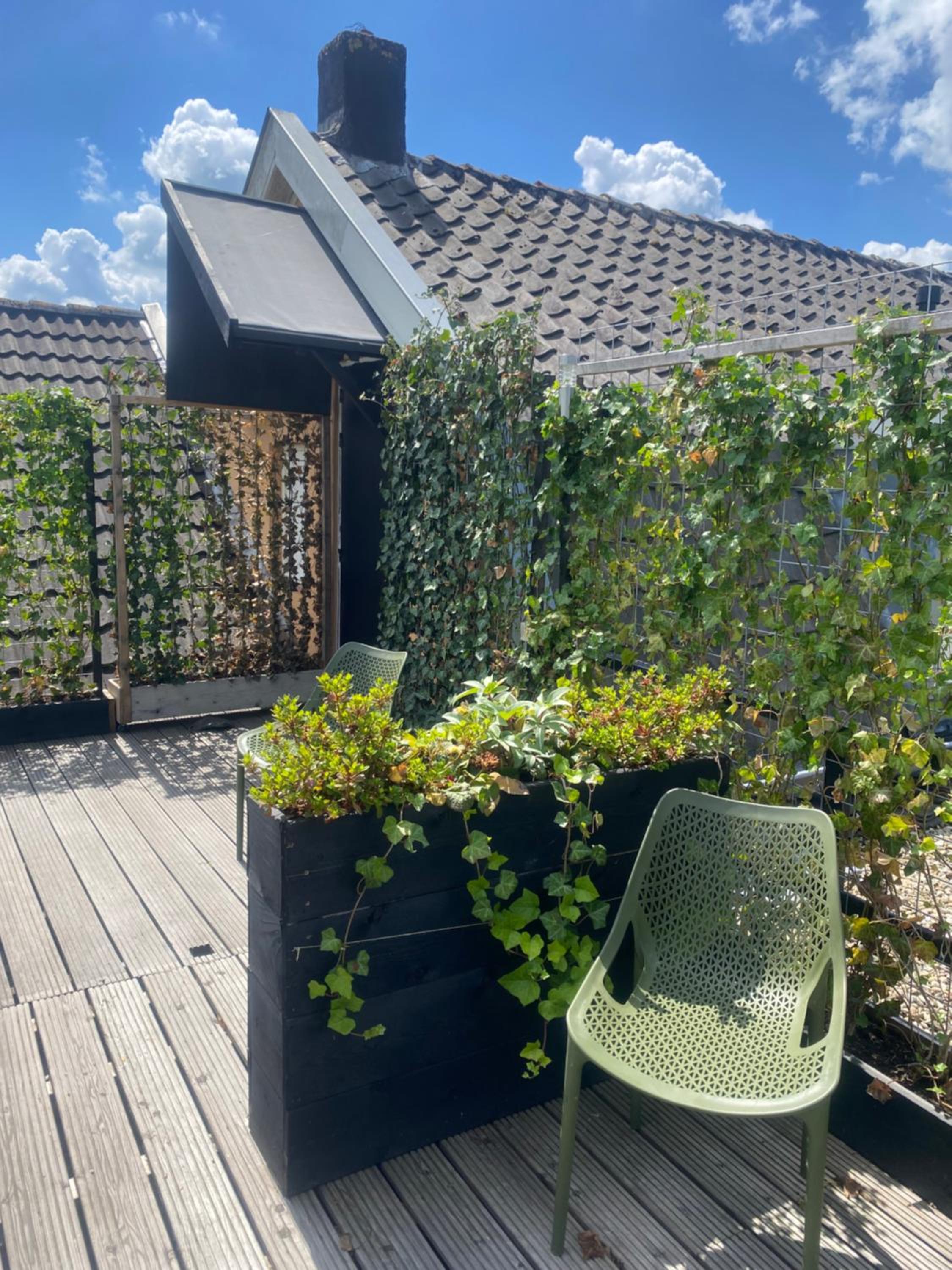 roof