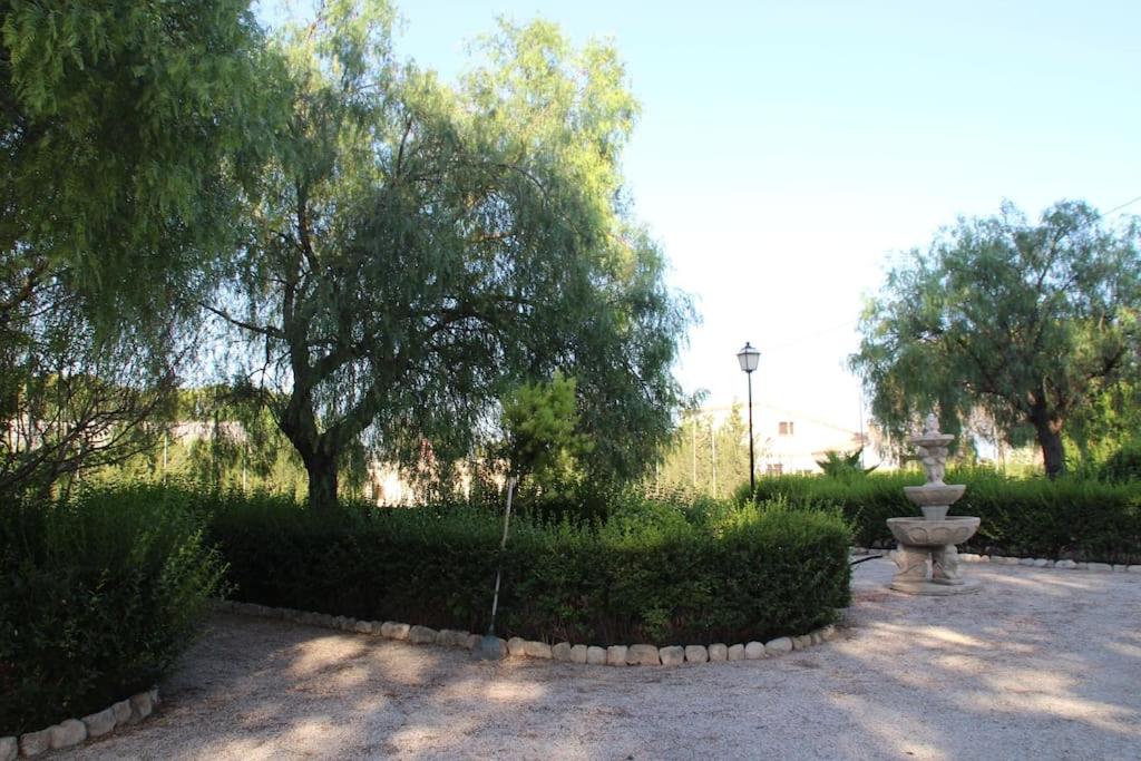 Photo 47