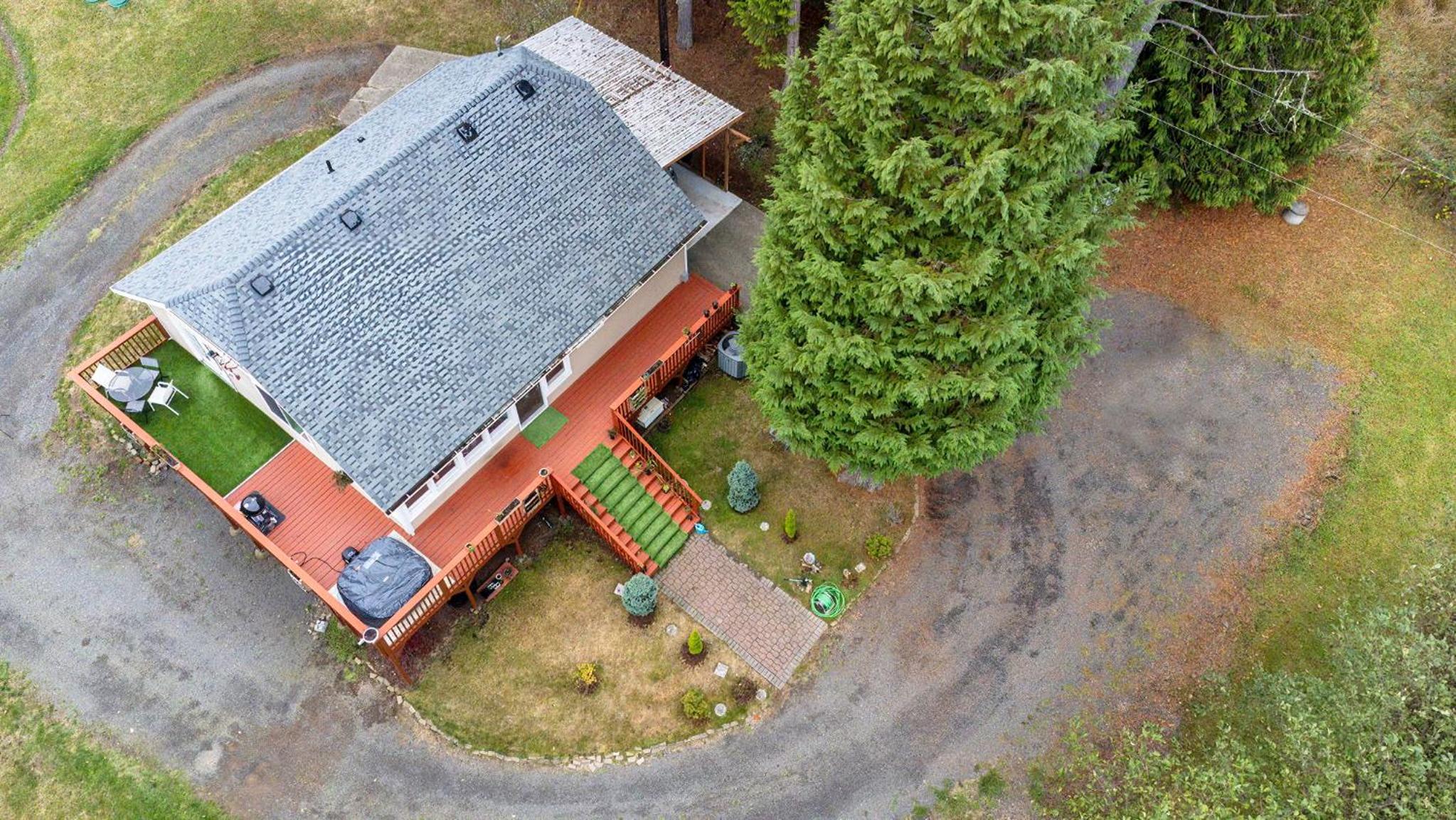 Serene Cottage in the Woods view 3