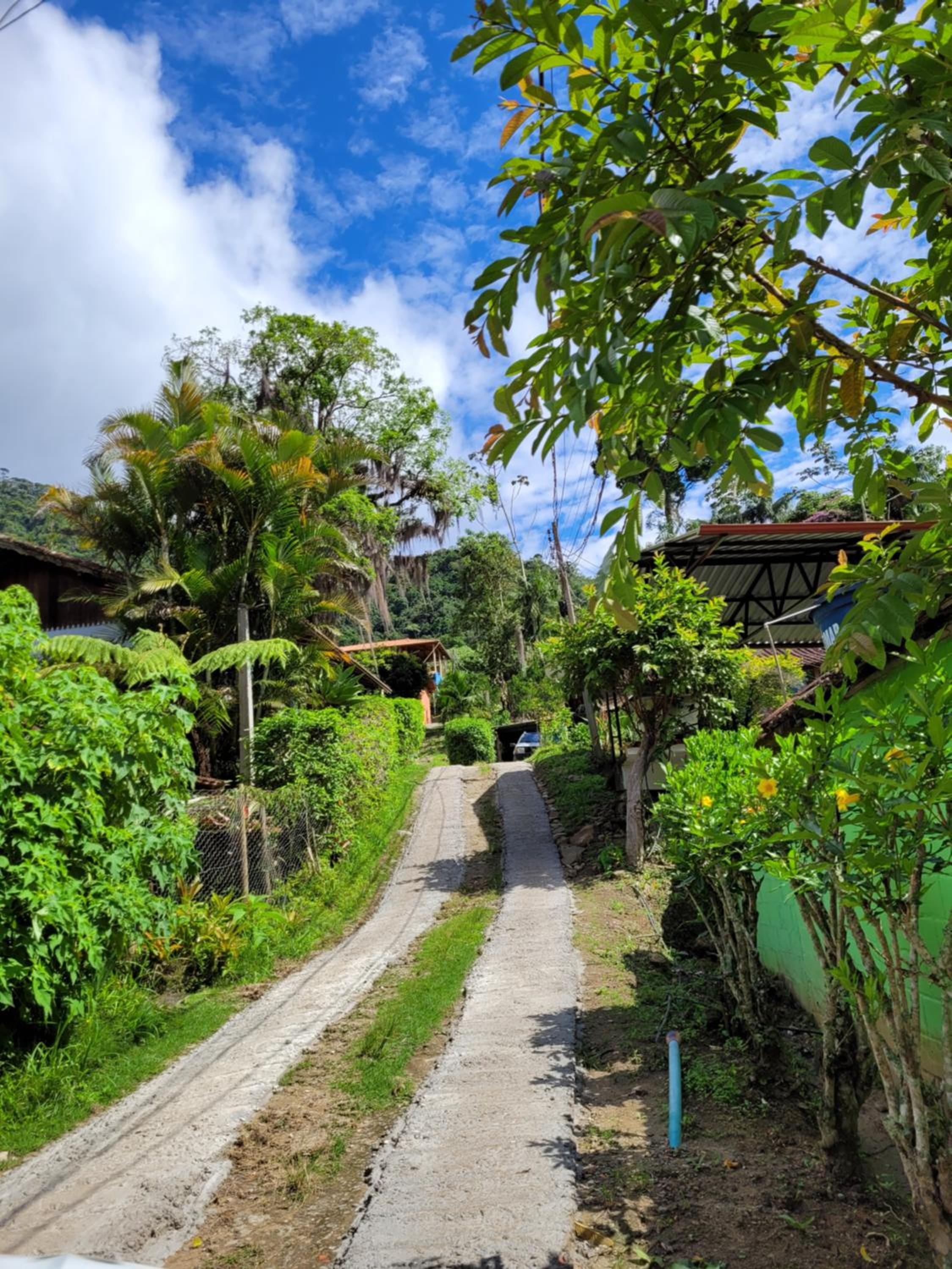Casa do Ipê - Hospedagem