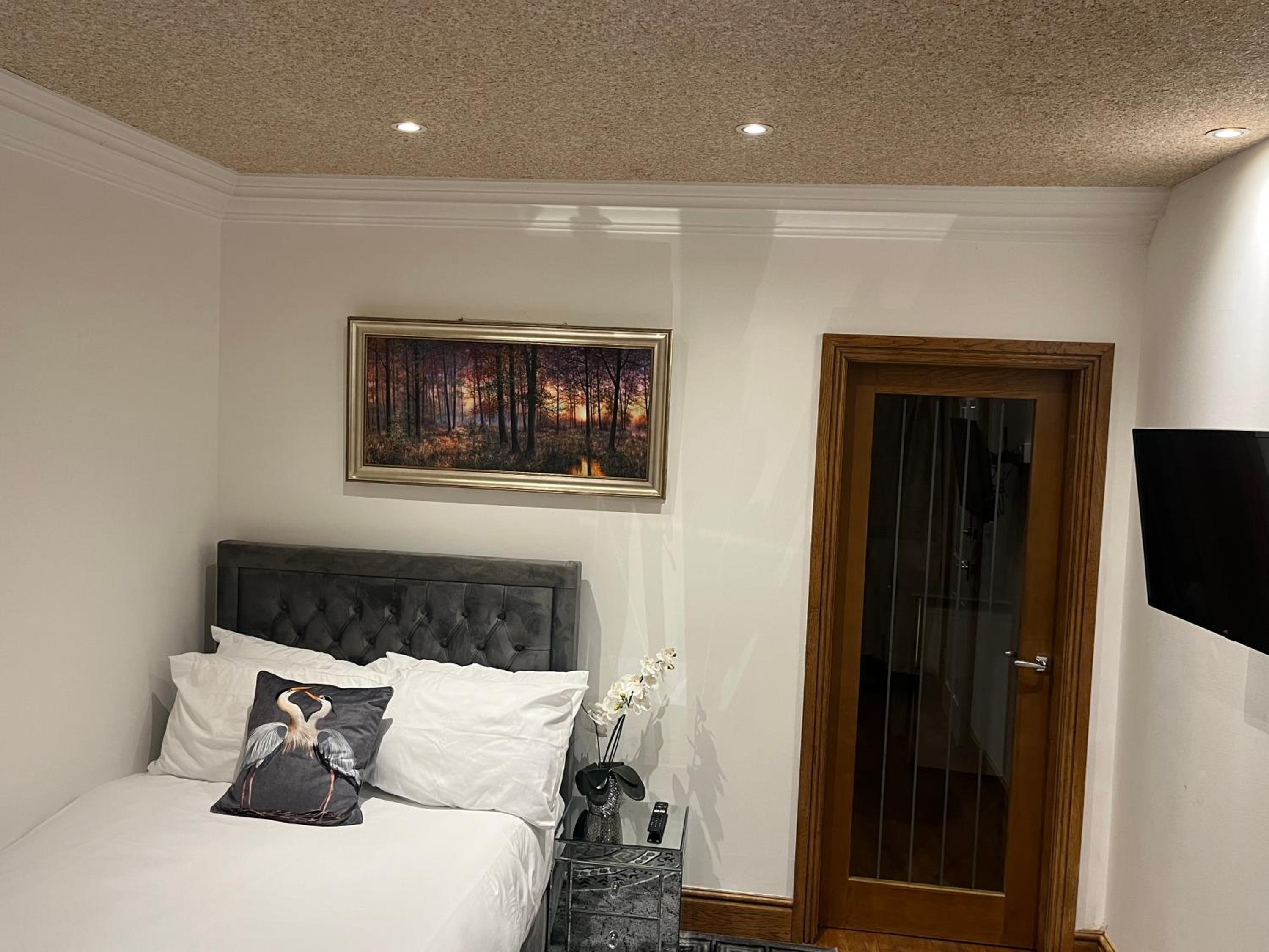 TJ Homes - Luxury Studio Suite with Garden View - Next to tube station London view 5