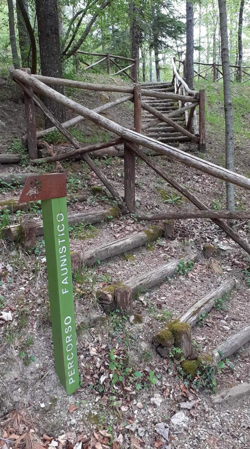 La Marzagrappola