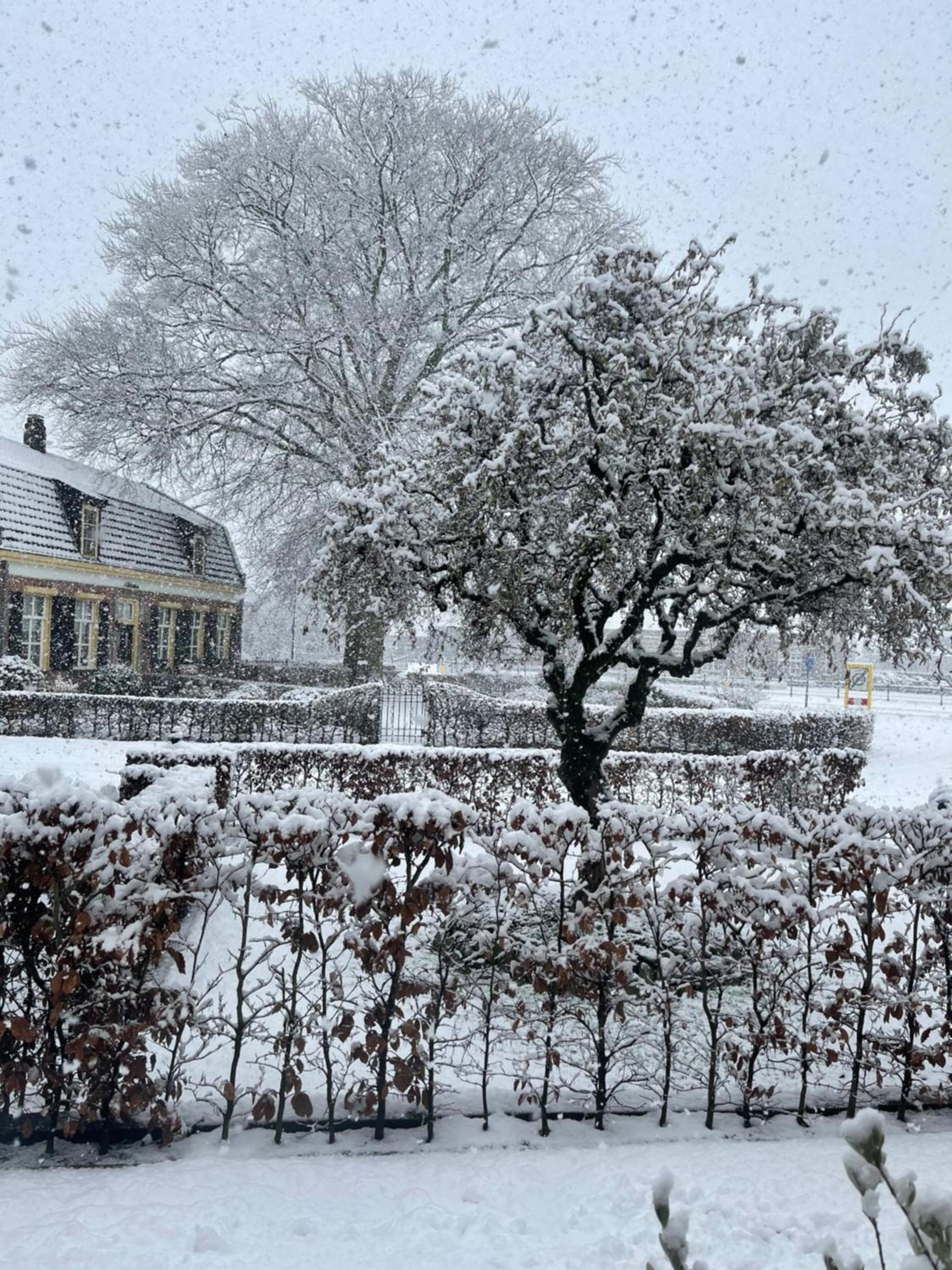 't Bakhuis - Property Image 18