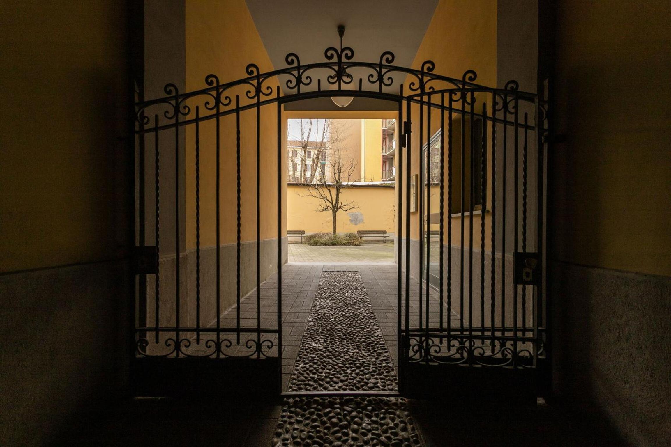 Paolo Mantegazza by Halldis