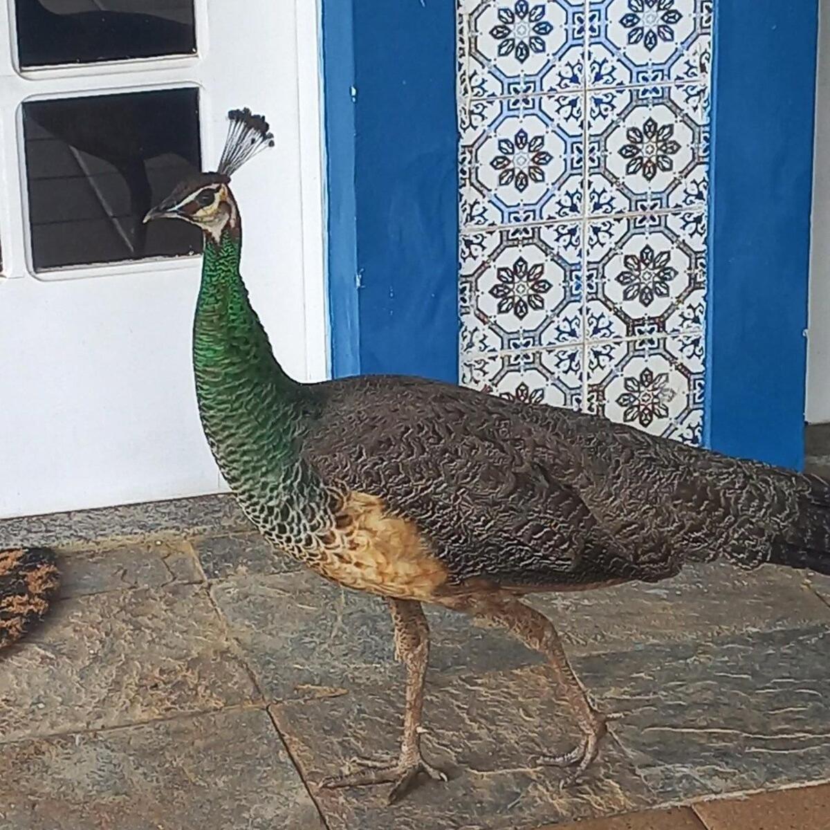 Pousada Solar Azul