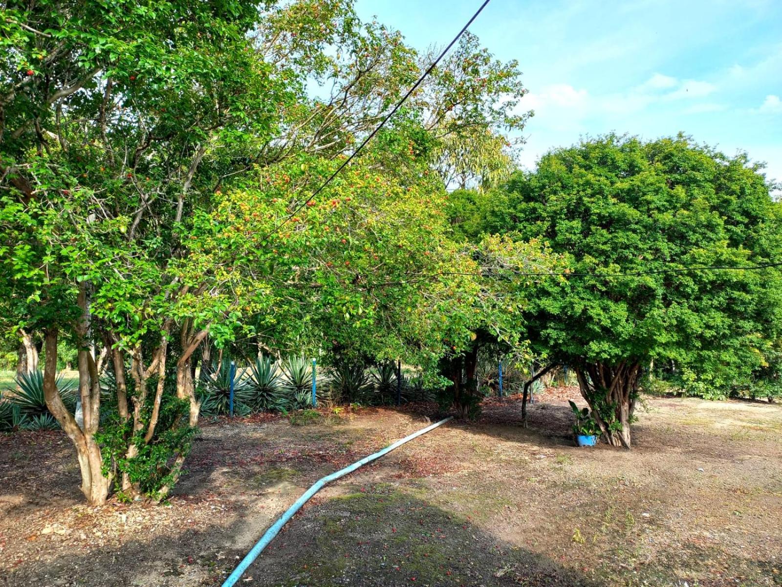 RANCHO PÉ DA SERRA