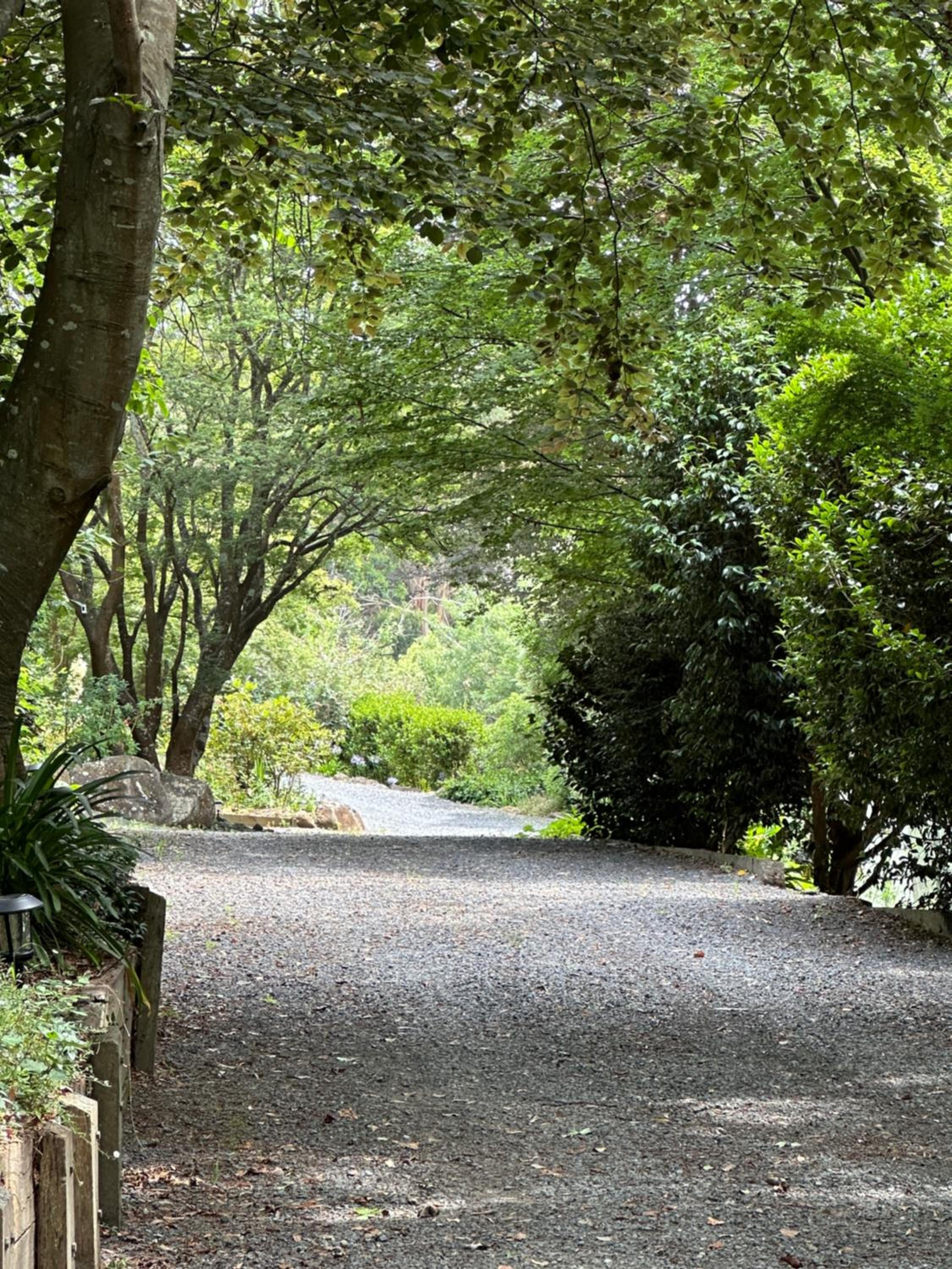 Olinda Cascade Waterfall Mountain View Retreat