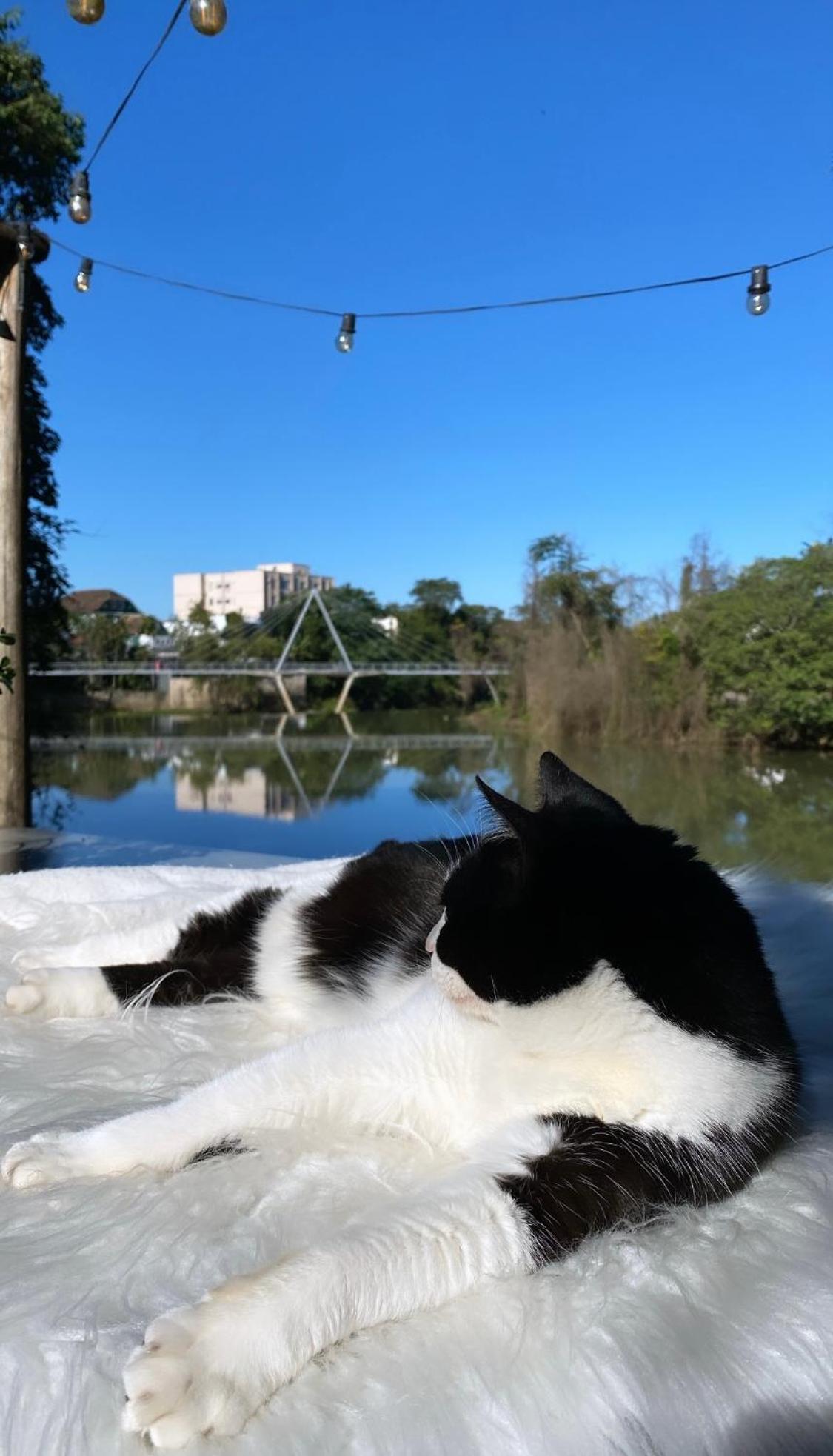 Solar 197 Pousada