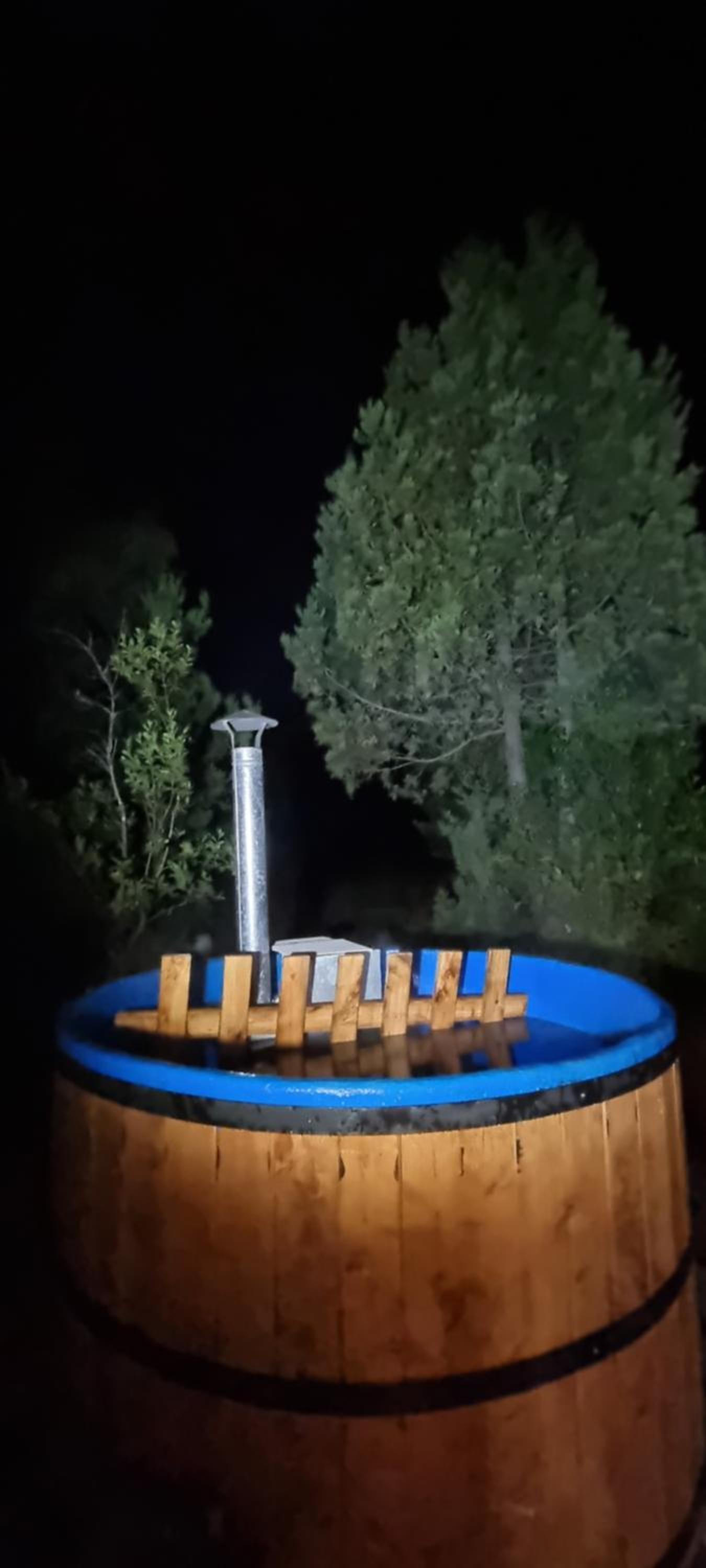 Ciprés del Conguillio