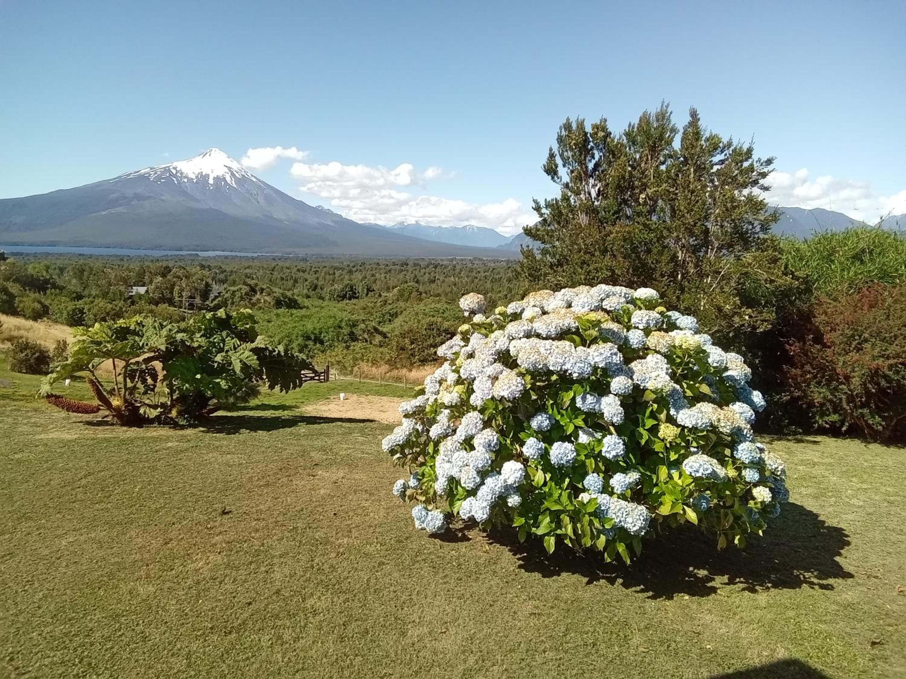 Topahue