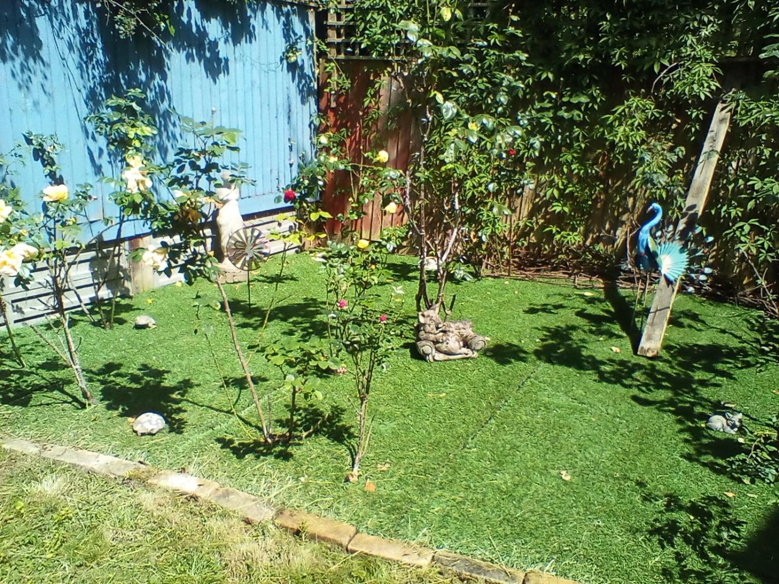 Photo 18