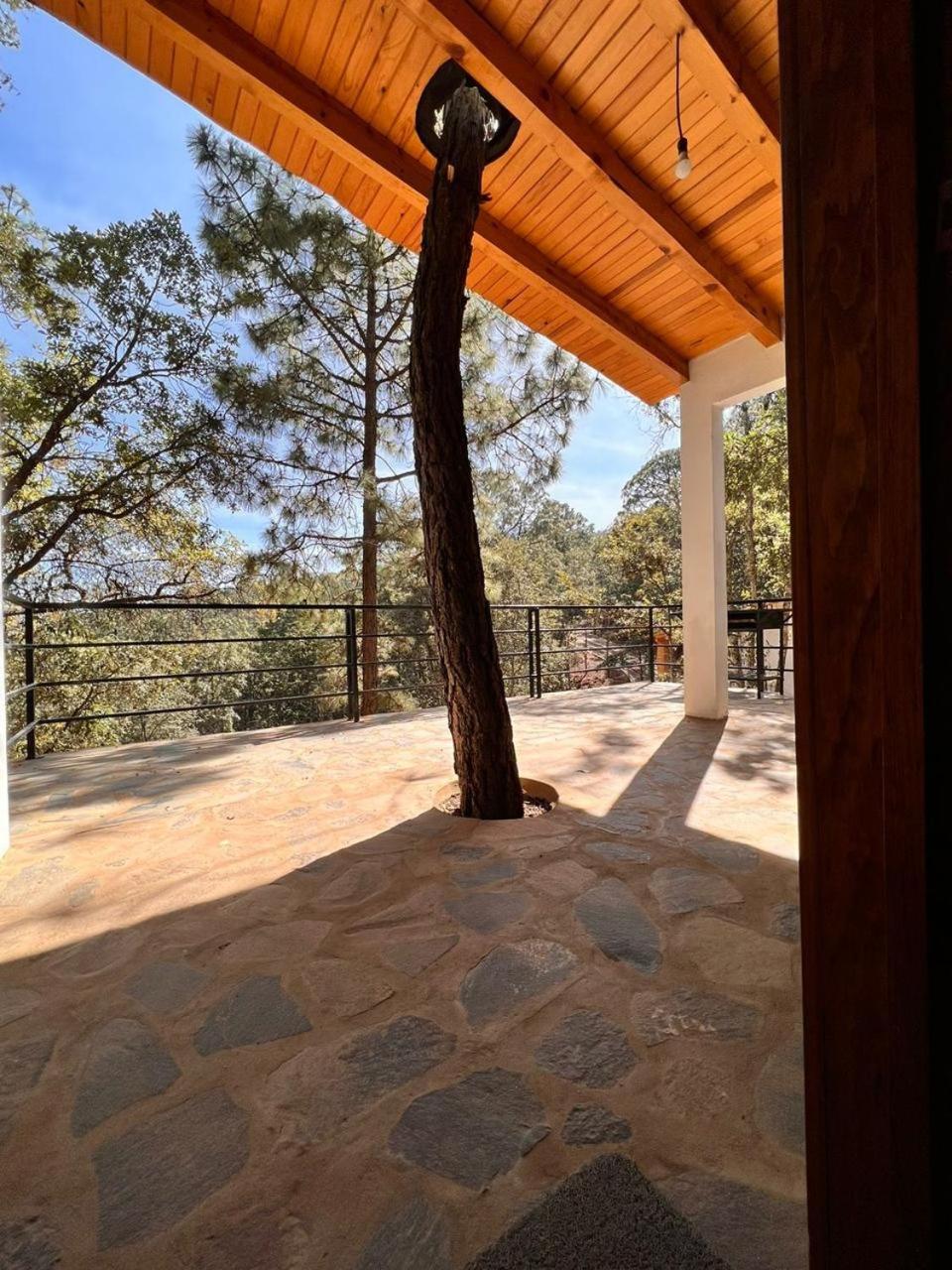 Cabaña "Alexa", en el corazón del bosque de Mazamitla