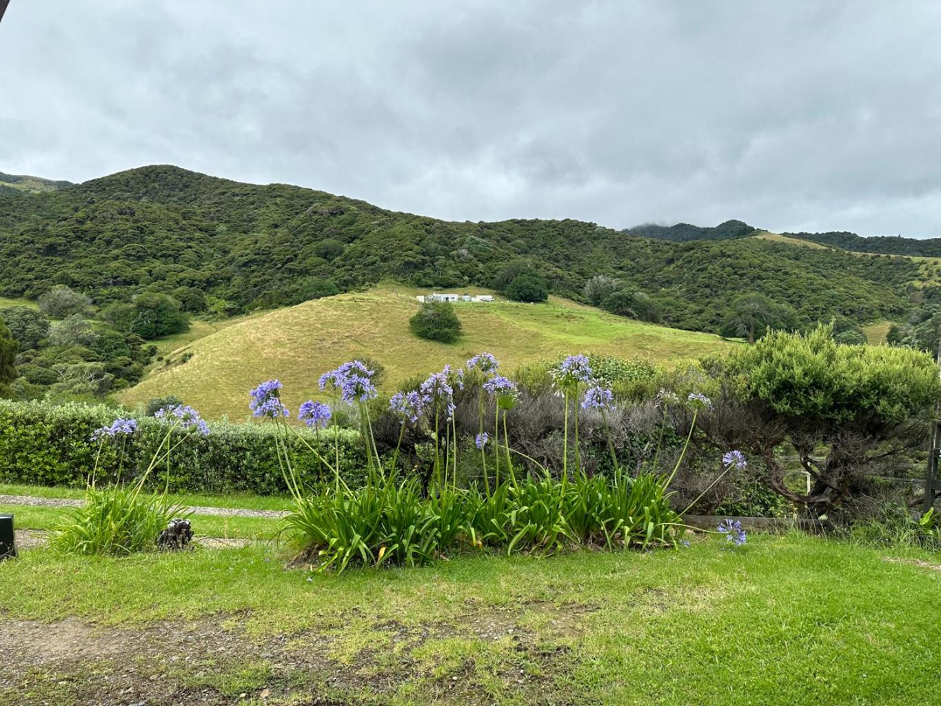 Pohutukawa Coastal Chalets