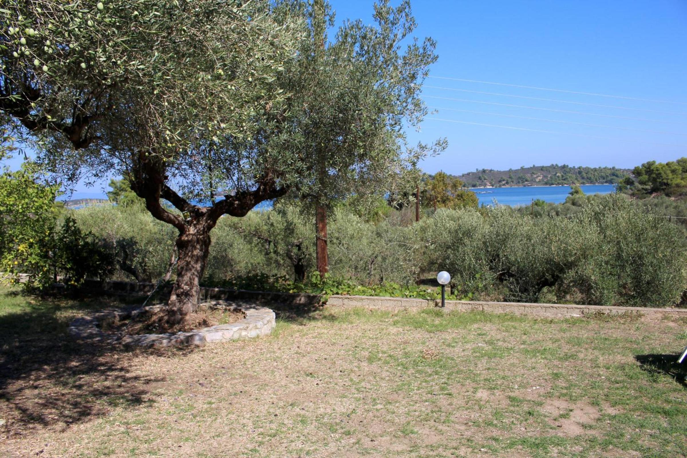 Philippos 1 view 3