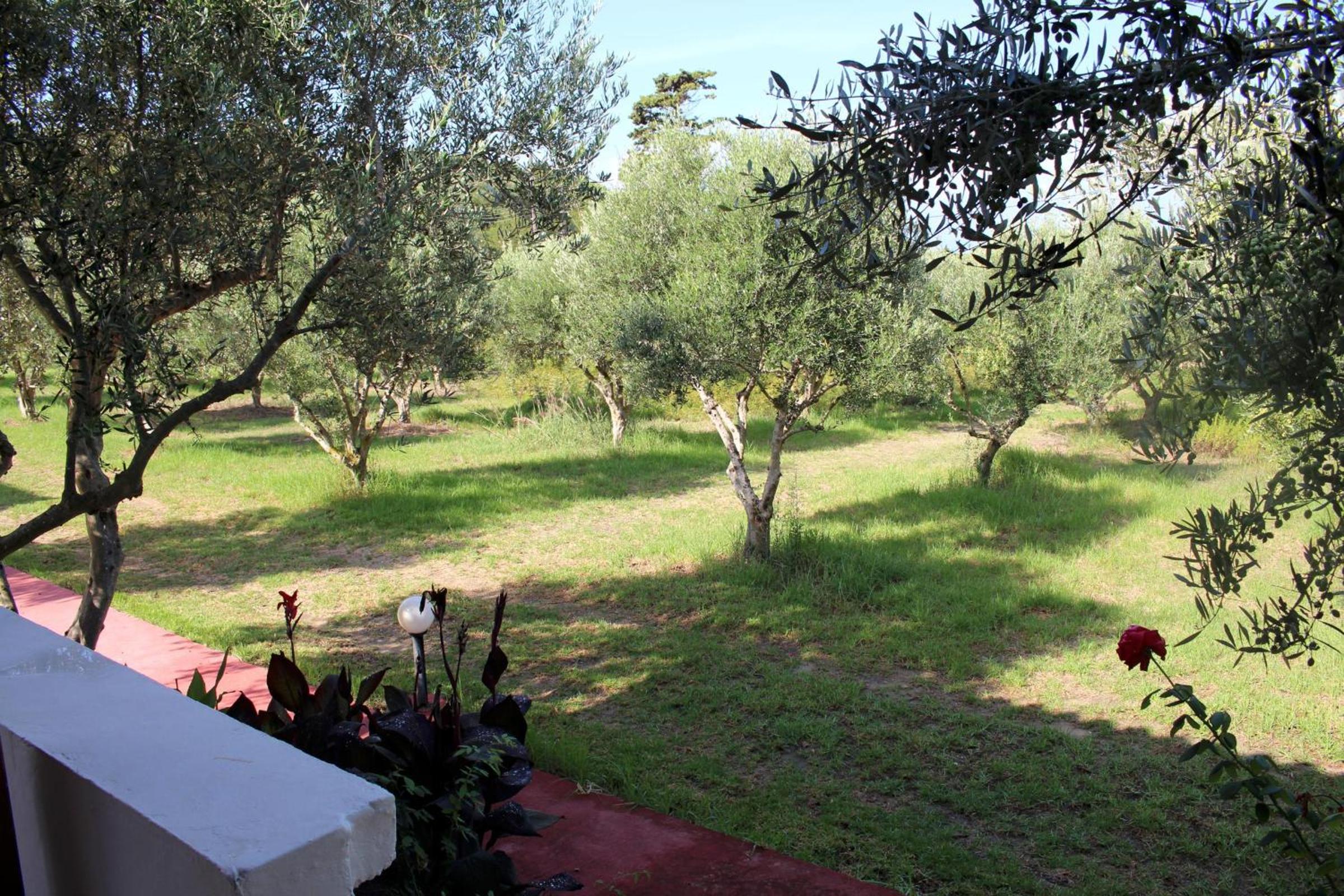 Photo 25