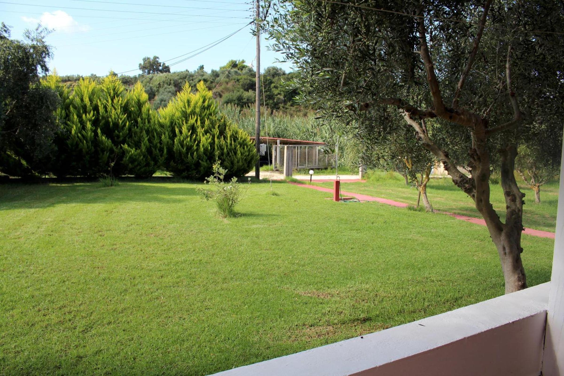 Photo 25