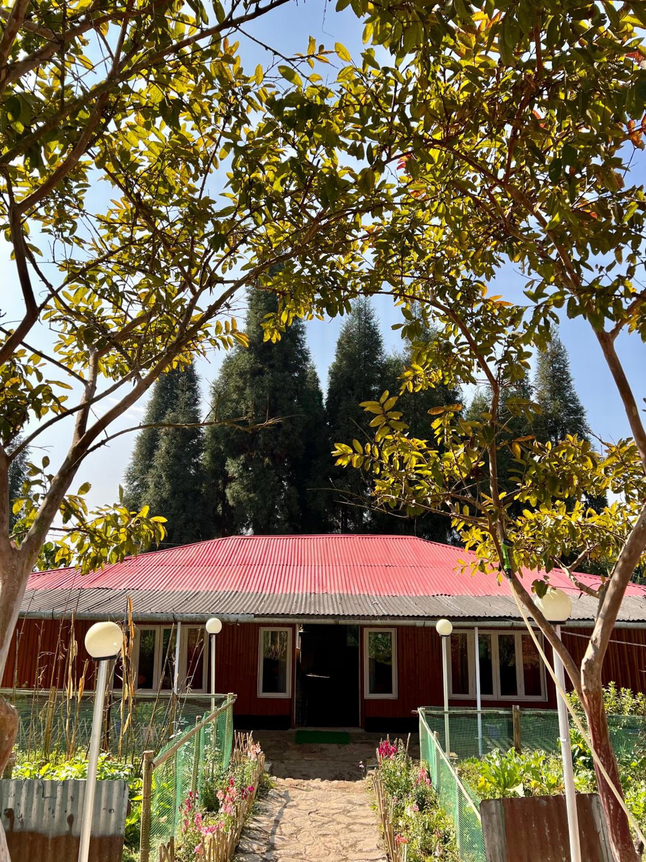 Photo 18