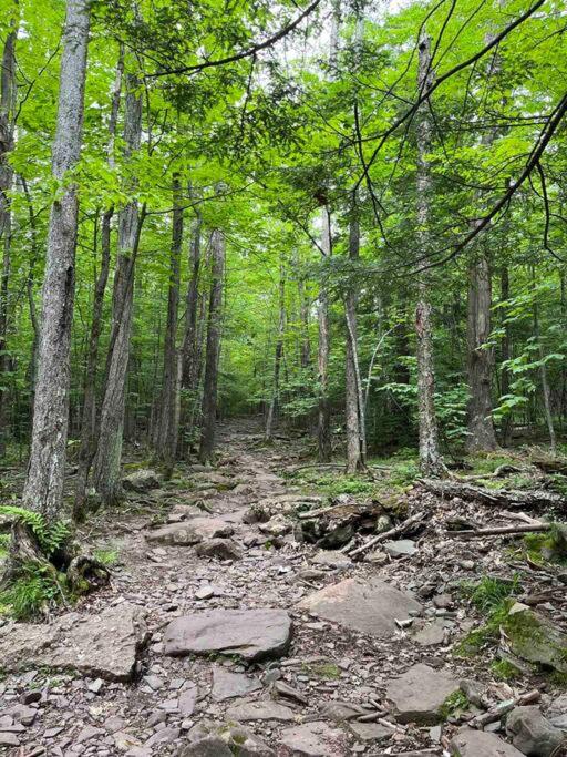 Birch Hill - Spacious Mountain Retreat