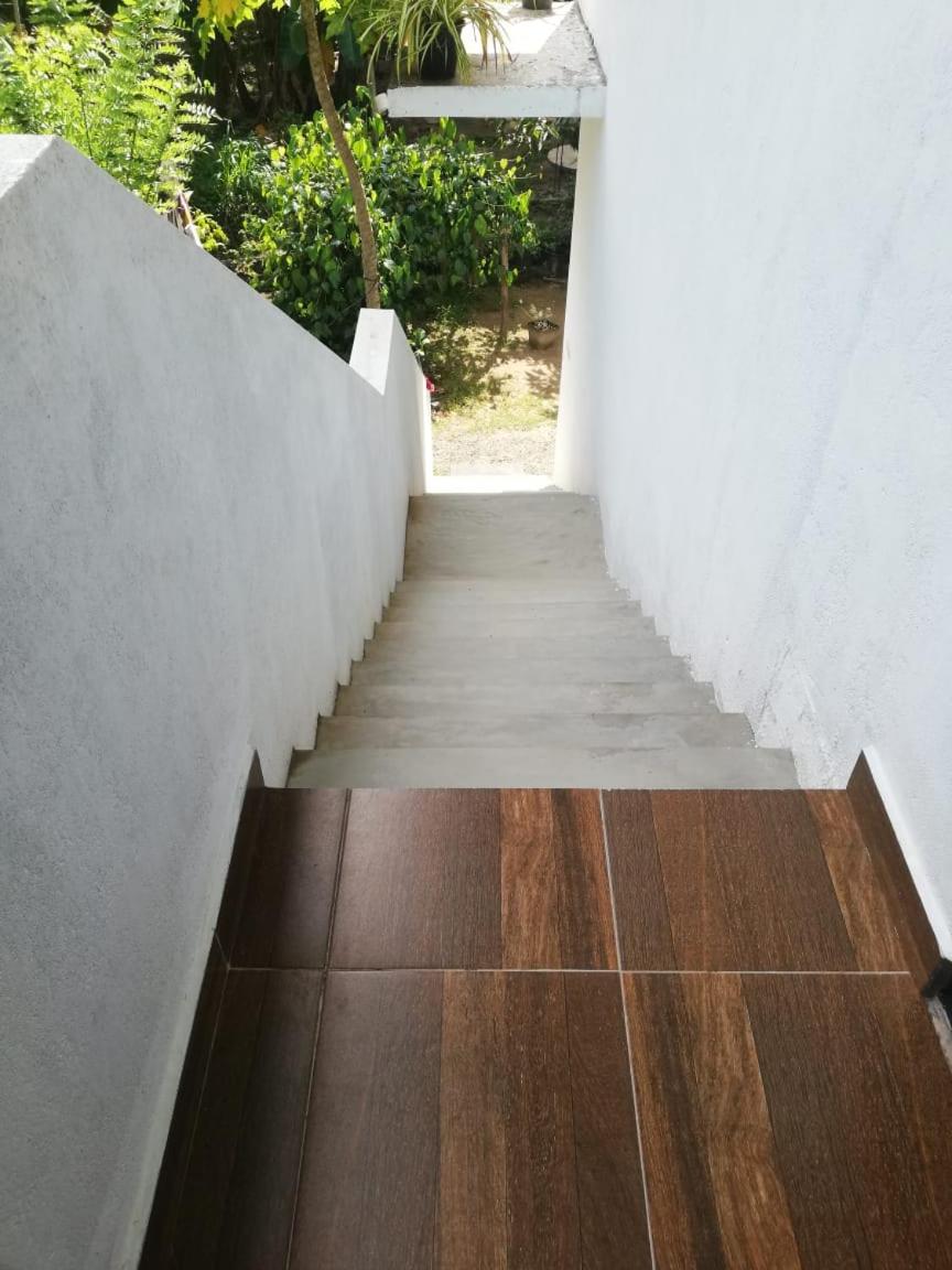 Ashi Apartment