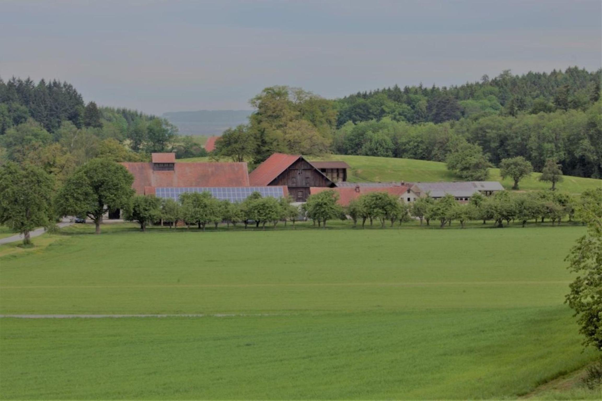Rösslerhof Ferienwohnung Lindele