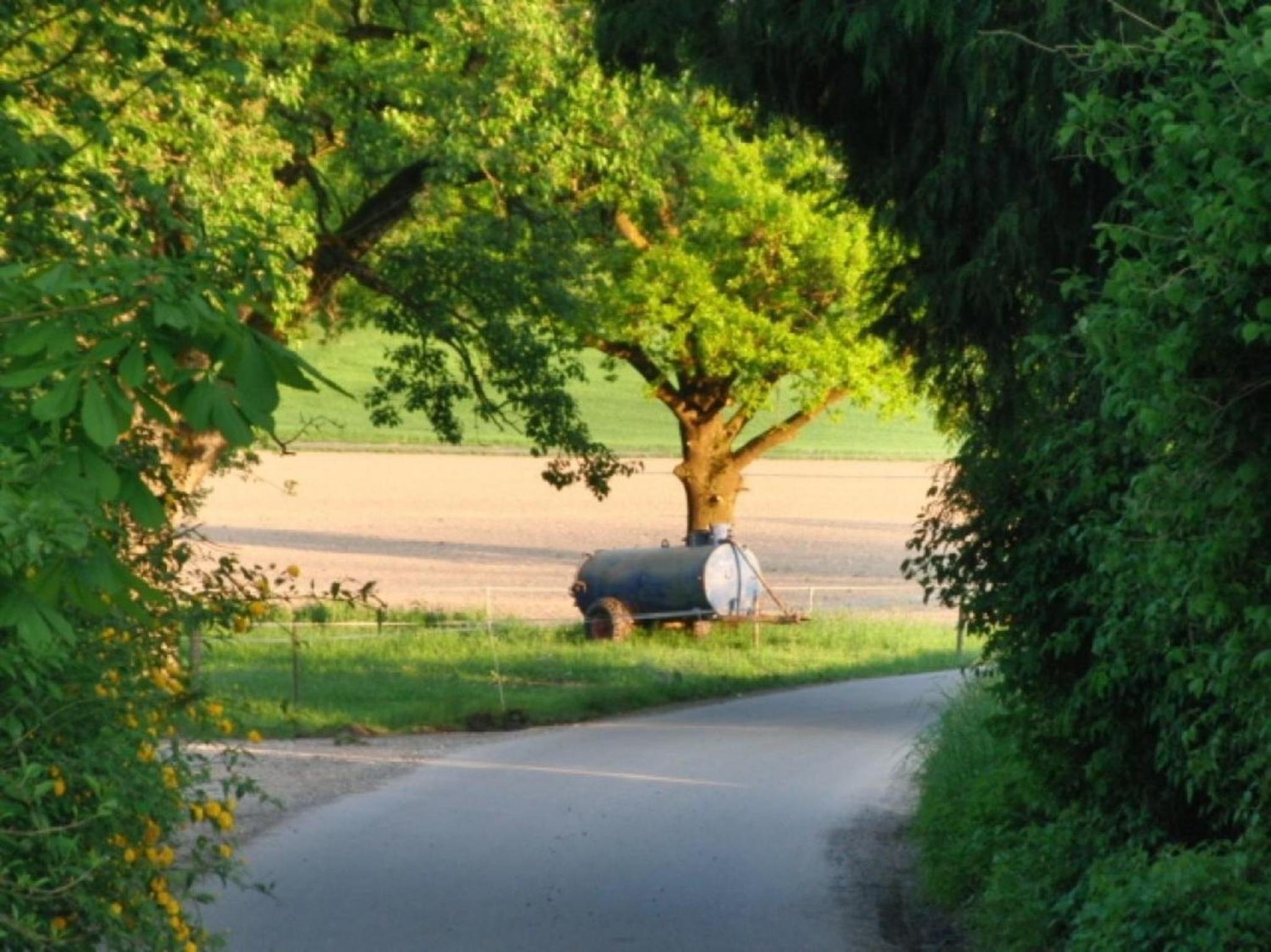 Rösslerhof Ferienwohnung Lindele