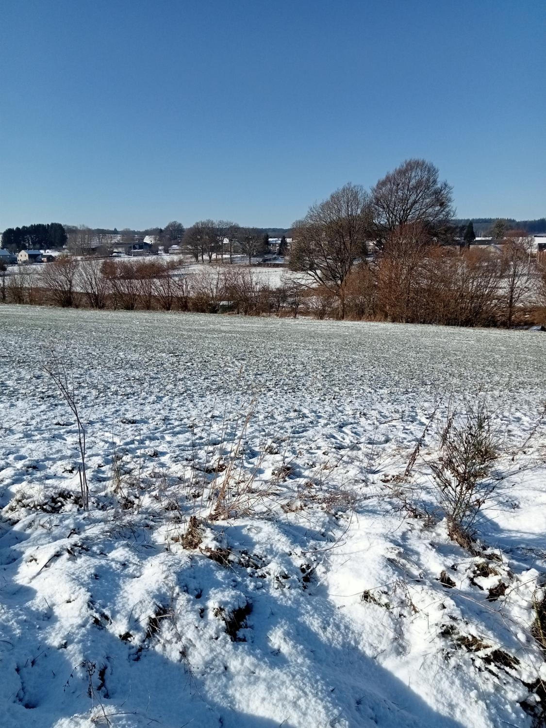 La cense du vieux frêne
