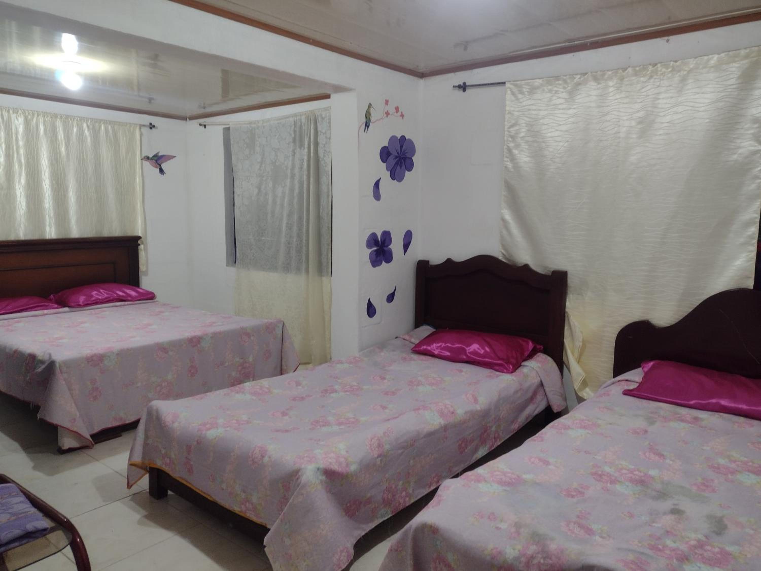 hostal Sueño Paraiso- Observatorio astronómico