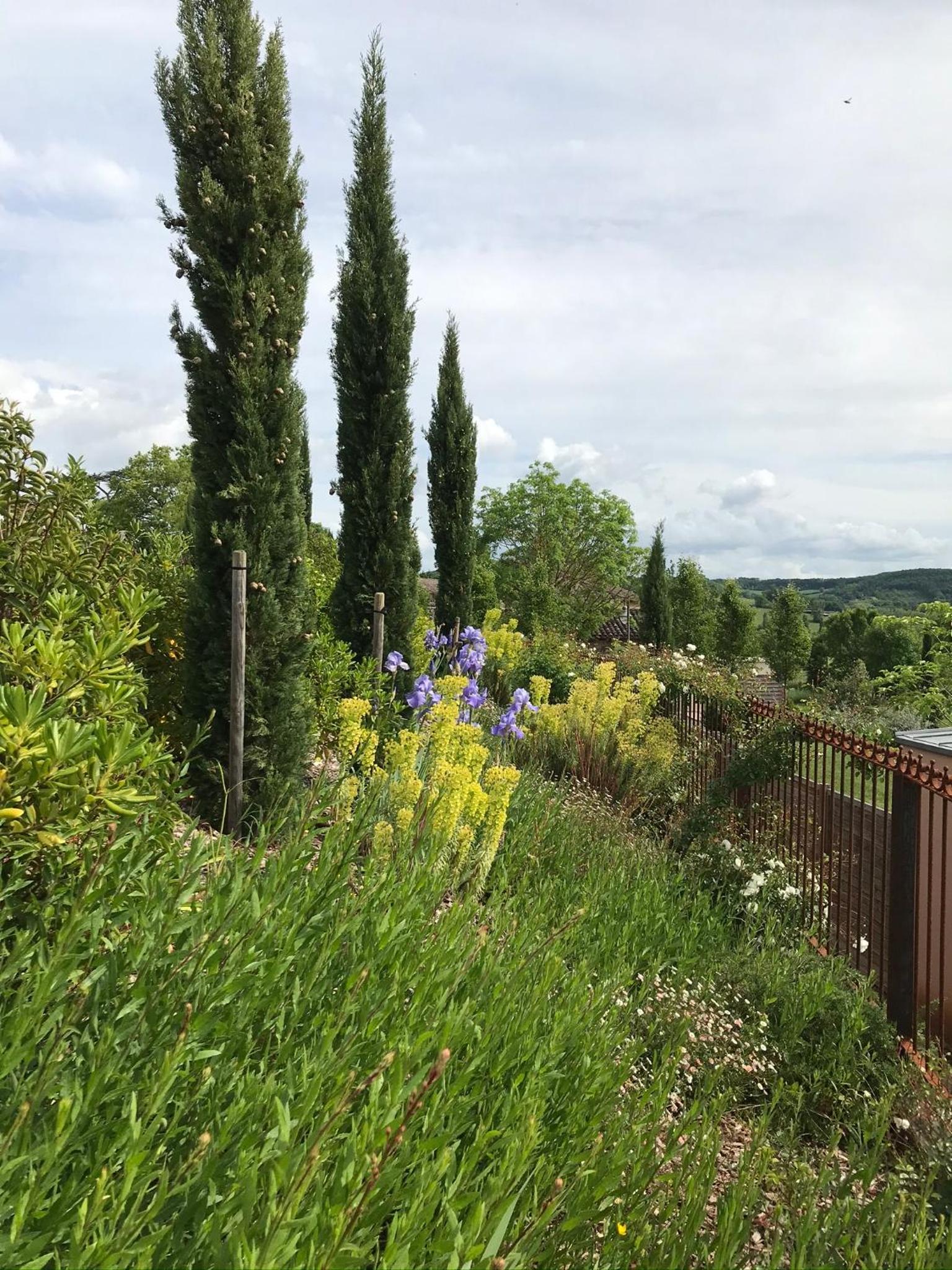 Domaine de la Durantie - Villas avec Spa de nage view 5