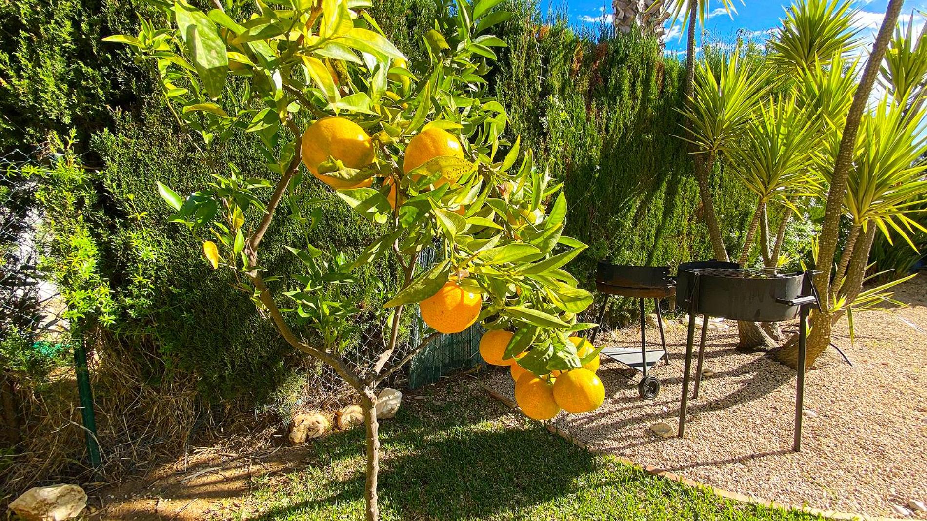 Photo 22