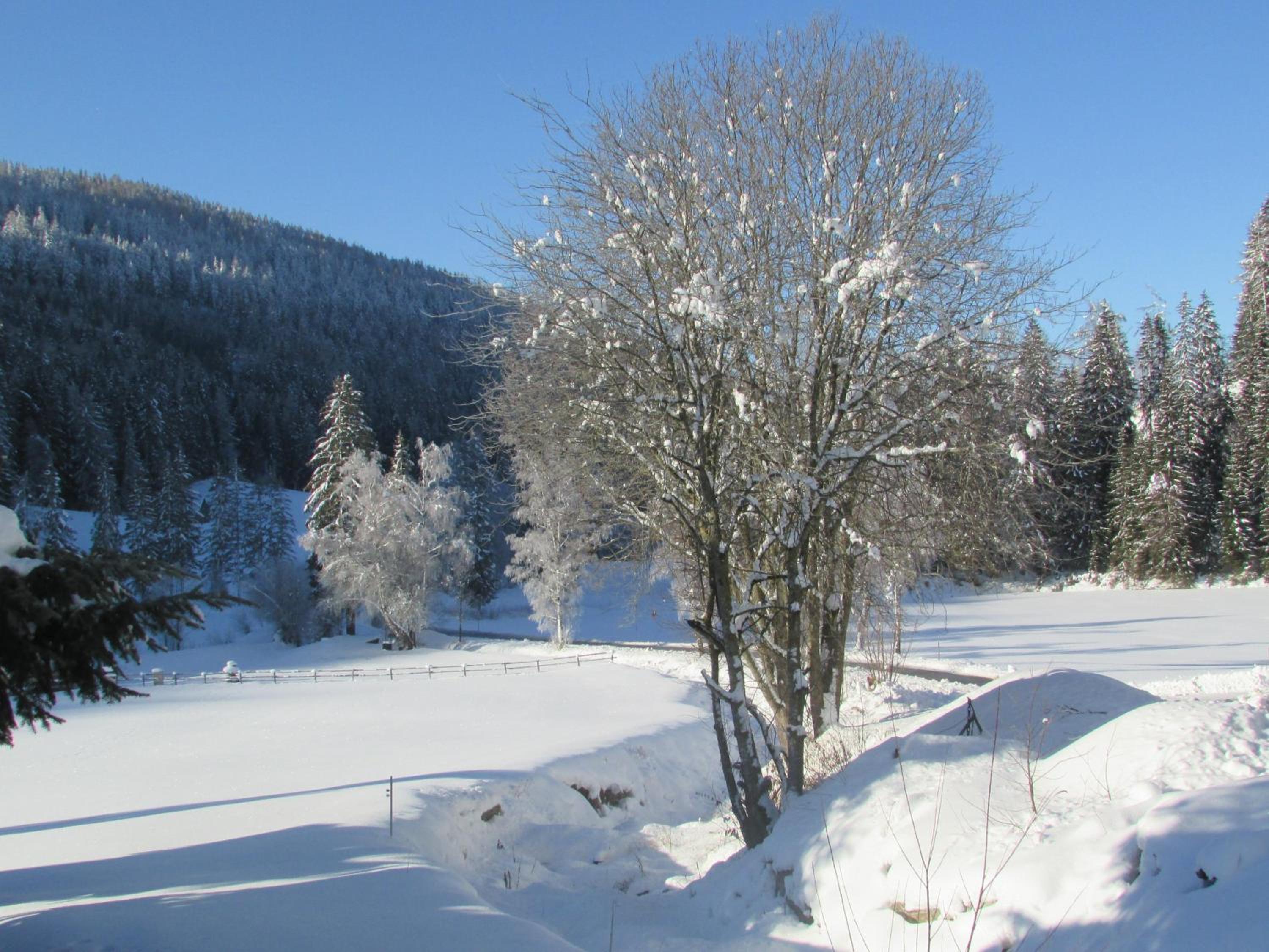 Ferienhaus Priller