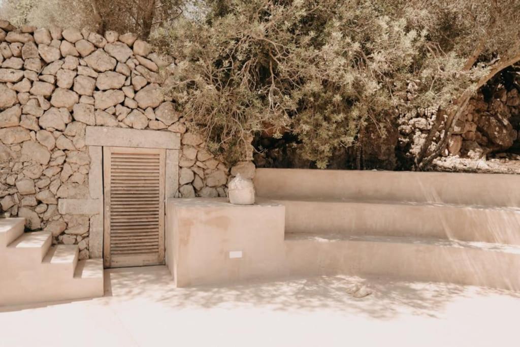 N a k e d S o l photo 3