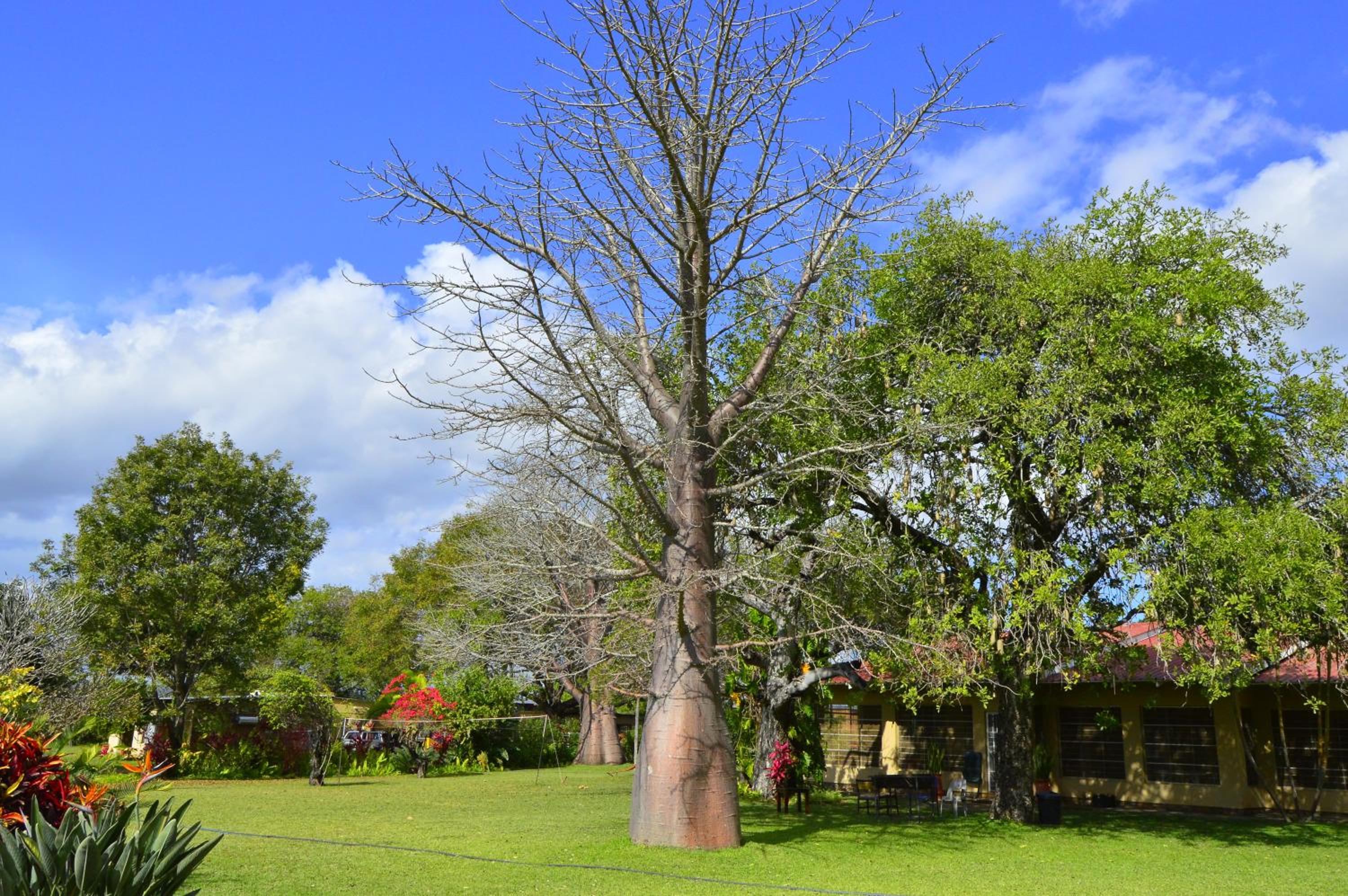 Photo 20