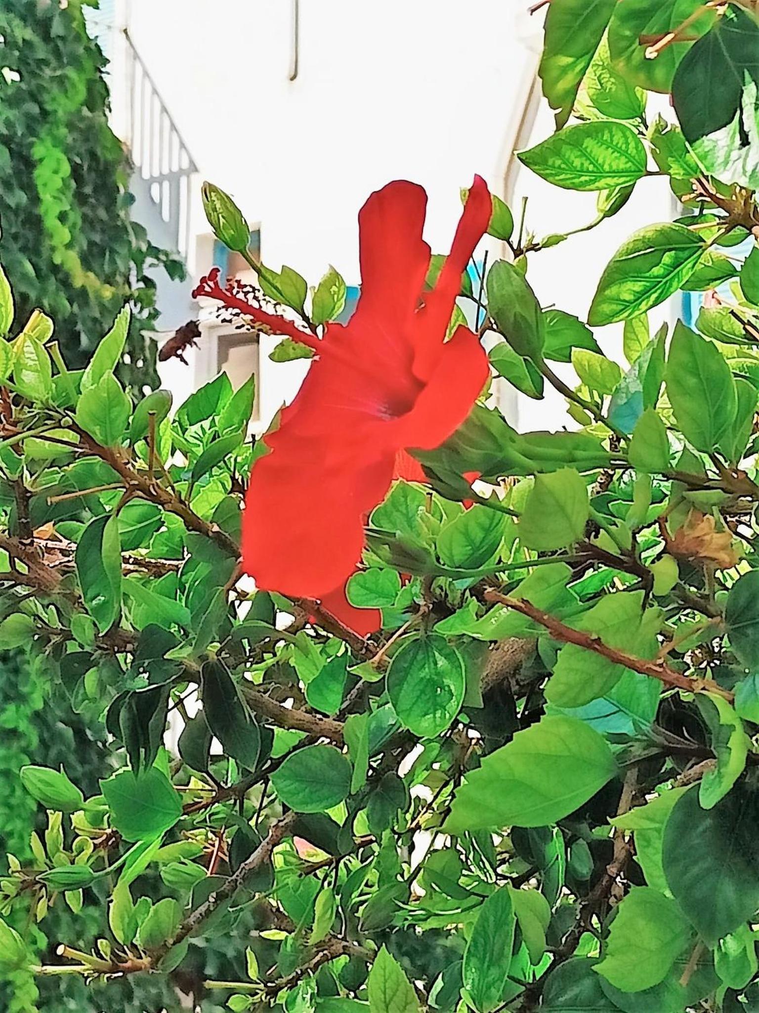 Photo 35