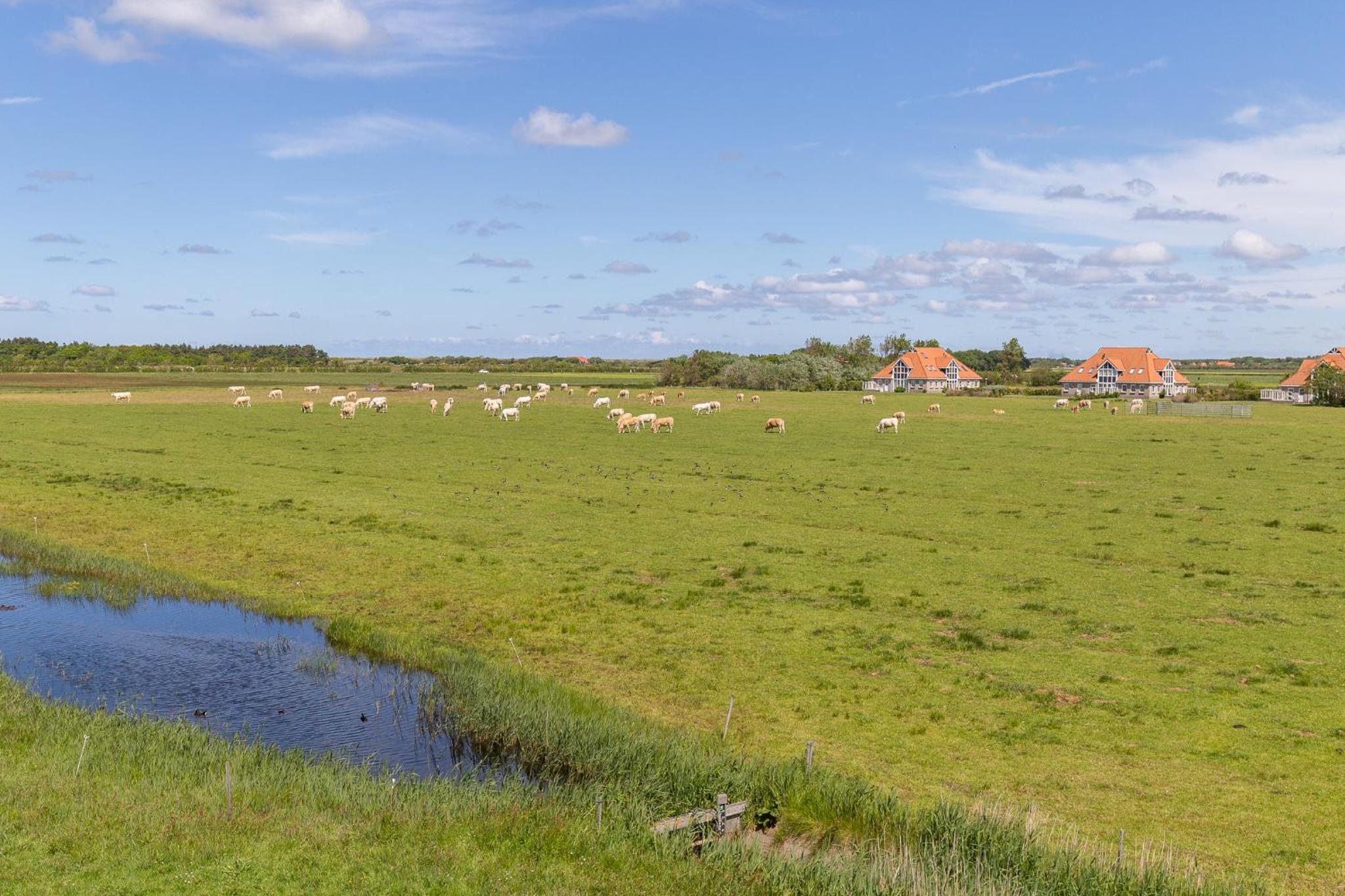 Wadden Villa 12 view 2