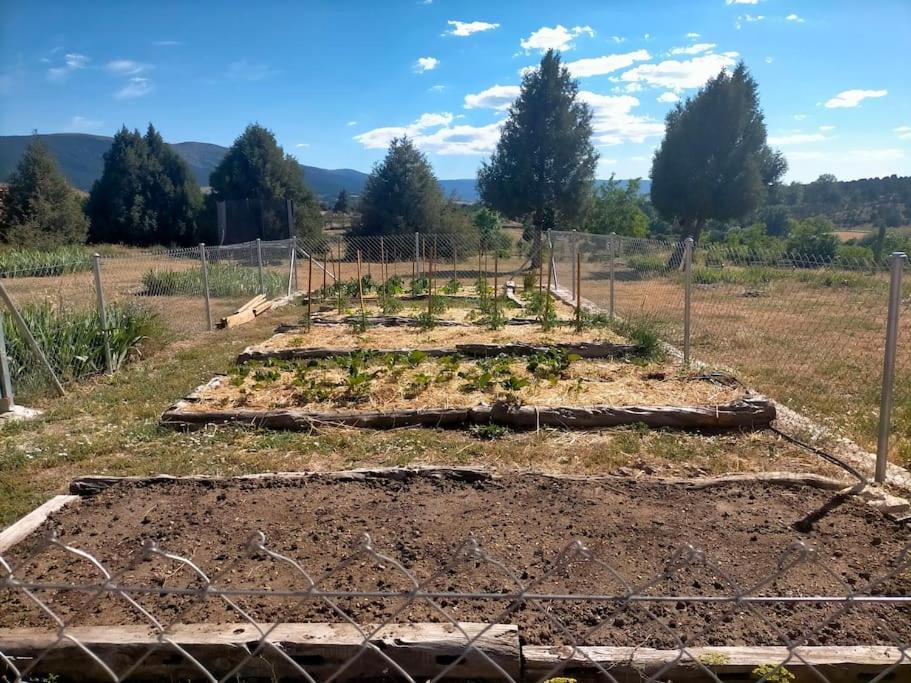 El Telar Arte y Naturaleza