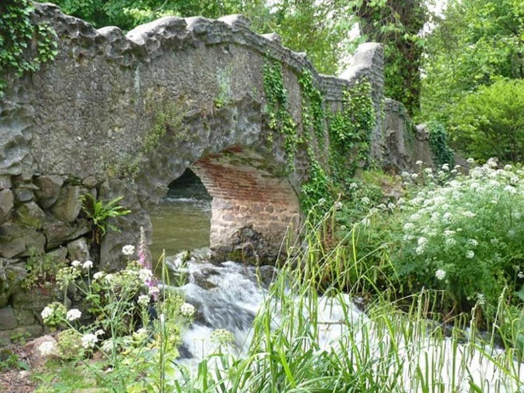 Photo 46