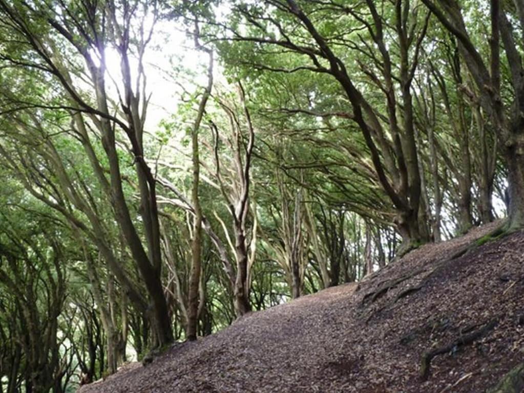 Photo 22