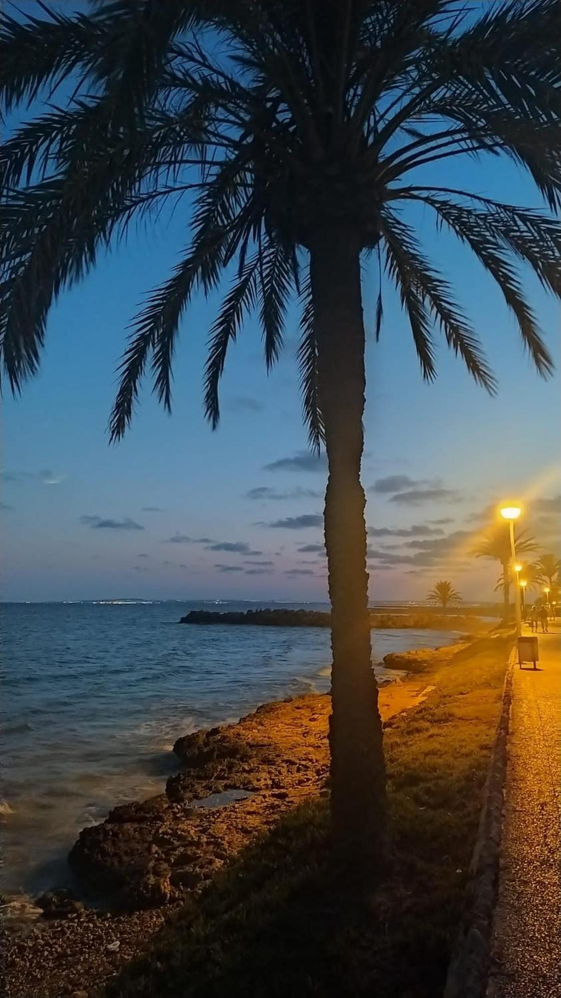 Nice Place Santa Pola