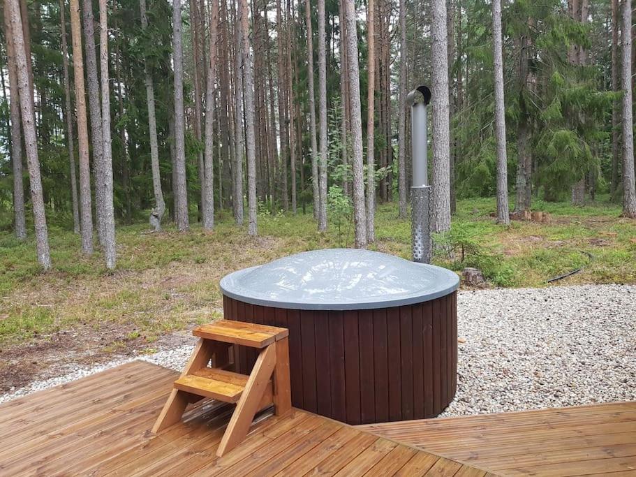 Puraviku puhkemaja